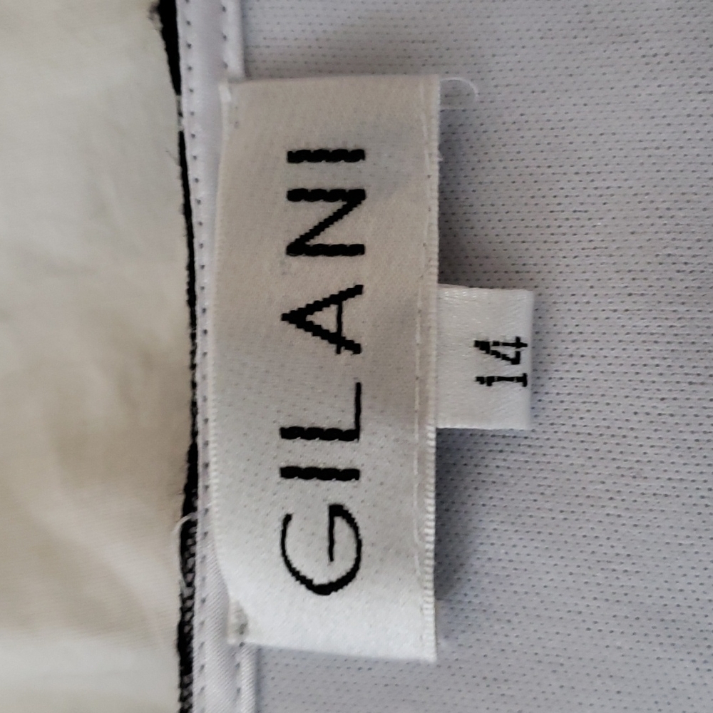 Gilani mesh lined blouse 👚 - Picture 4 of 6
